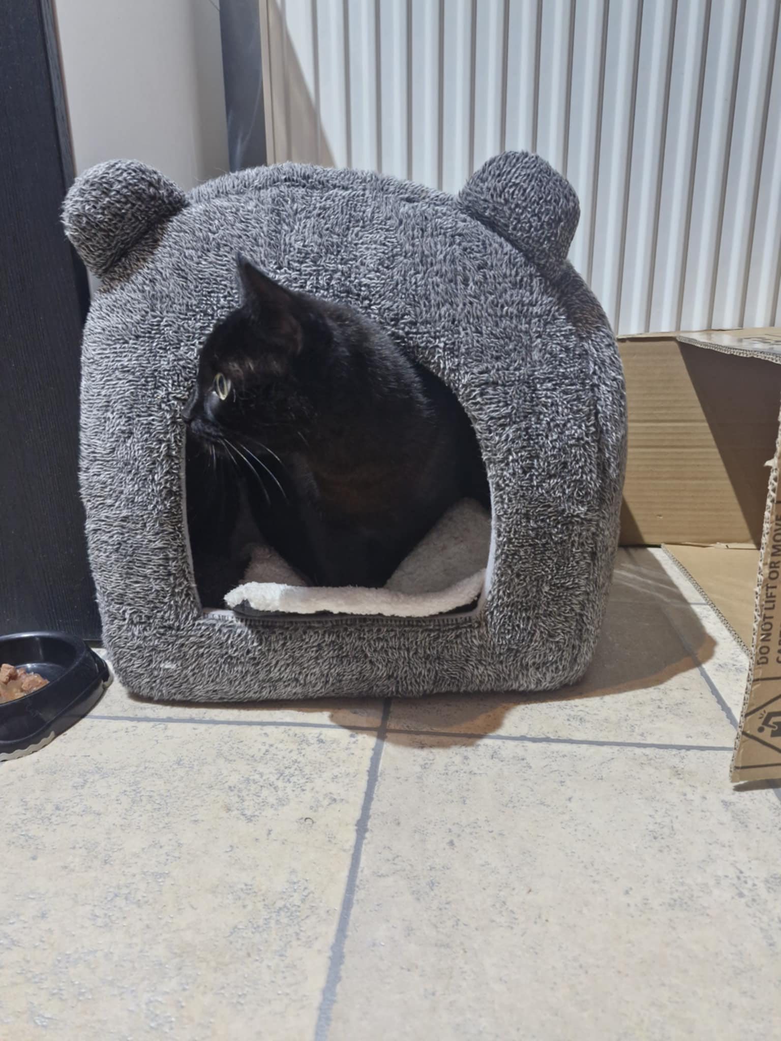 Bonnie and Bella - Image 2